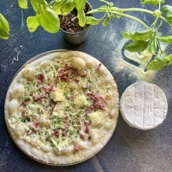Camembert